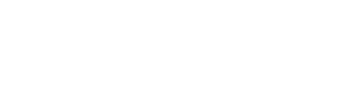 TRITON ALIMENTOS 